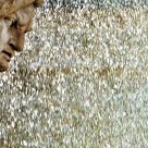 Detail from a Fountain